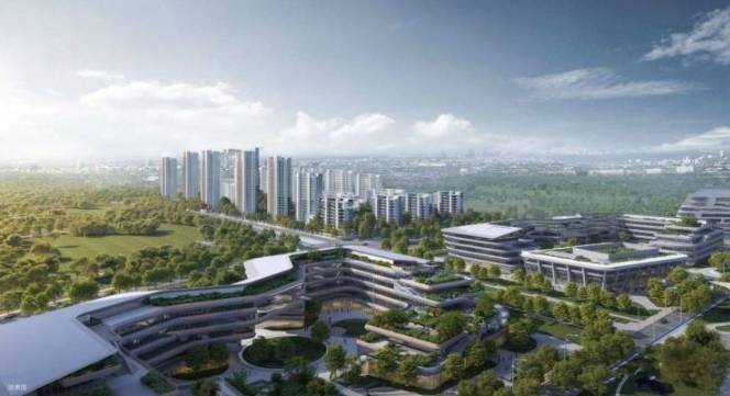 年楼盘周边配套价格多少钱一平开元棋牌app伟星万科星遇光(图3)